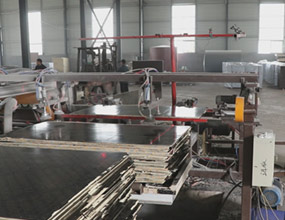 建筑模板全自動鋸邊機(jī)